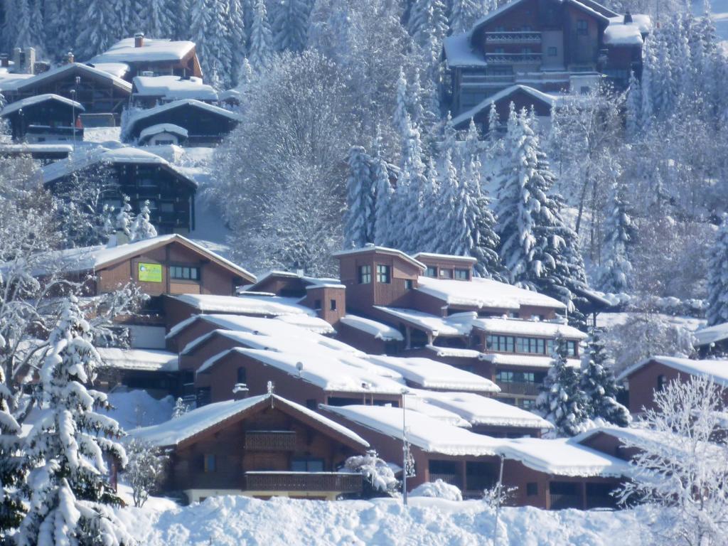 Village De Vacances Les Flocons Verts Ле-Карроз-д'Араш Экстерьер фото